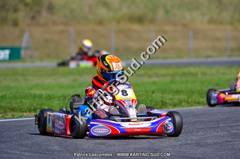 DSC_ (1353).jpg